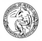 Universidad de Buenos Aires